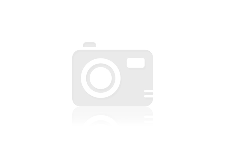 172/LMS/CERT/VII/2026